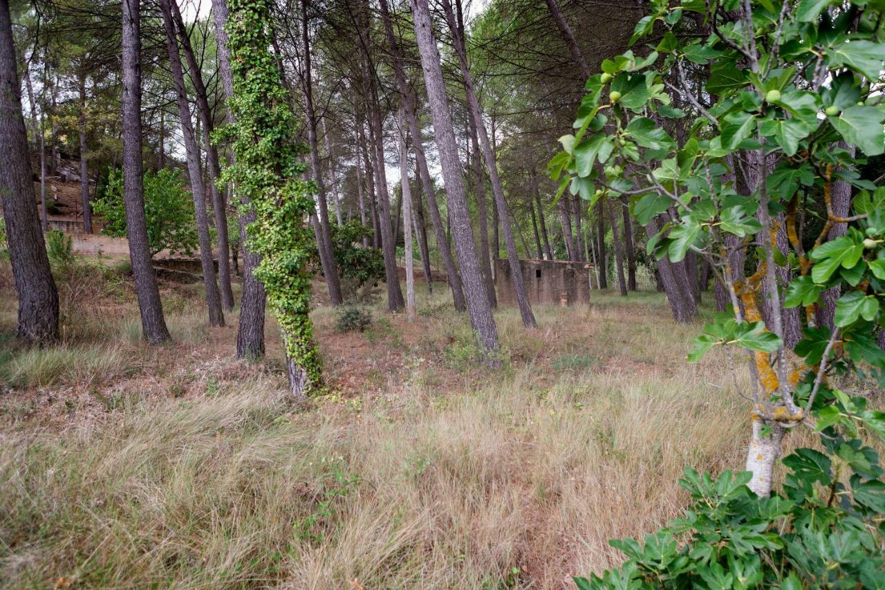 Rural Kairos "Un Espacio Con Alma" Siete Aguas Luaran gambar